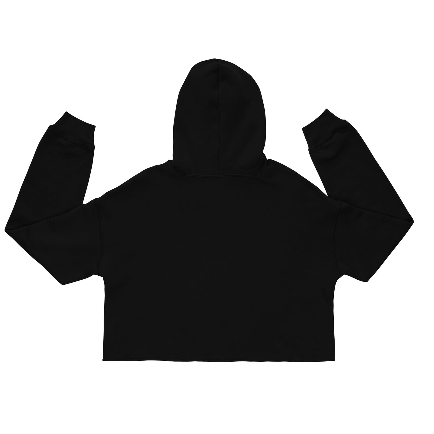 SD06. / Nigerian Landmark Design. II / Crop Hoodie